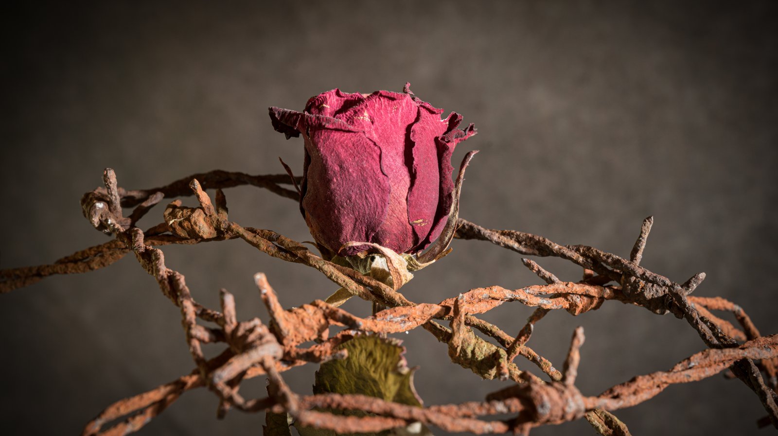 Withered flower shows feeling of insecurity, fear and resentment.